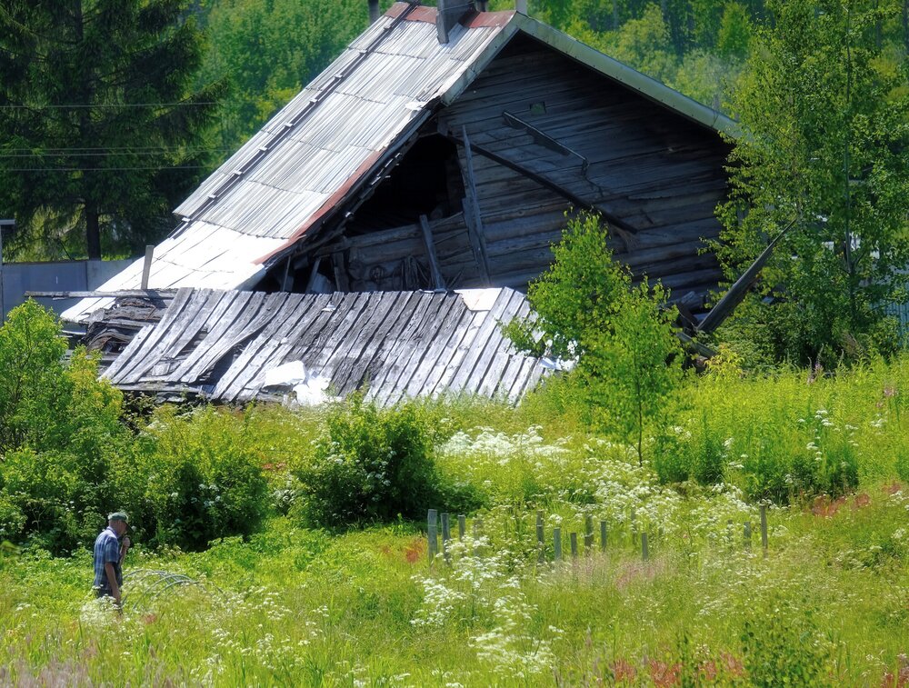 Photograph by Светлана Юрьевна Елагина