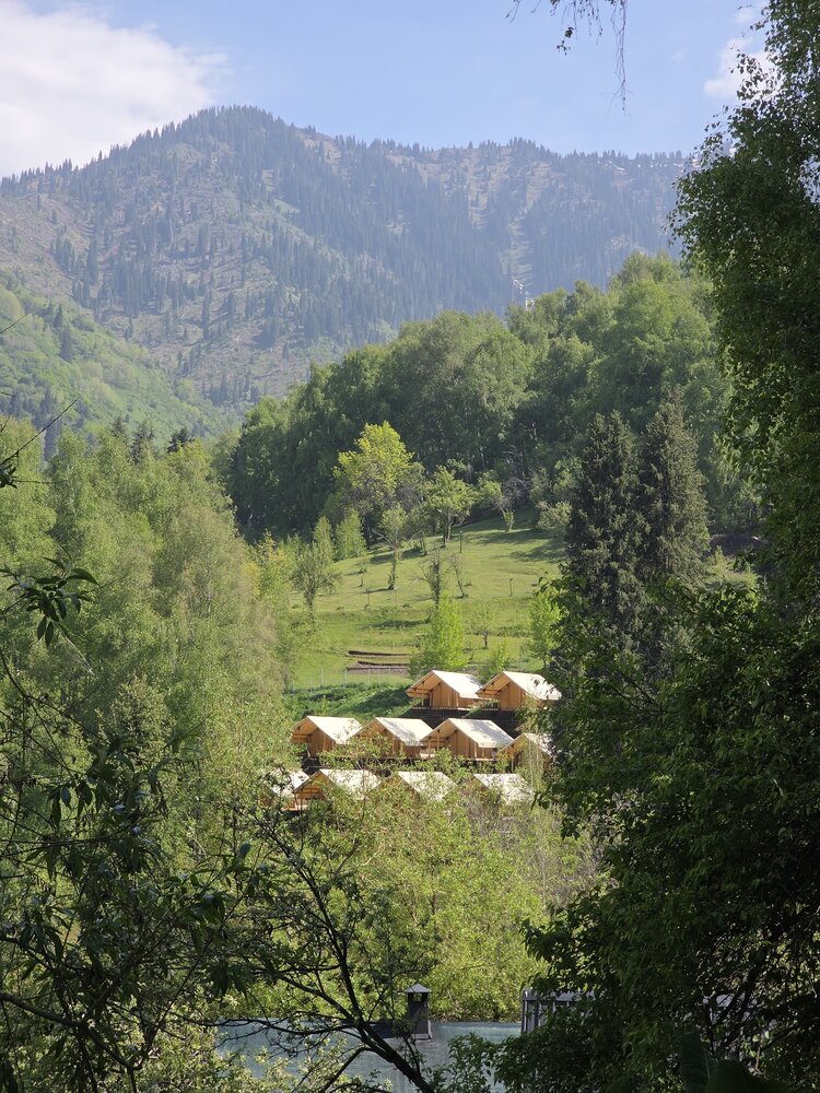 Photograph by Эльвира