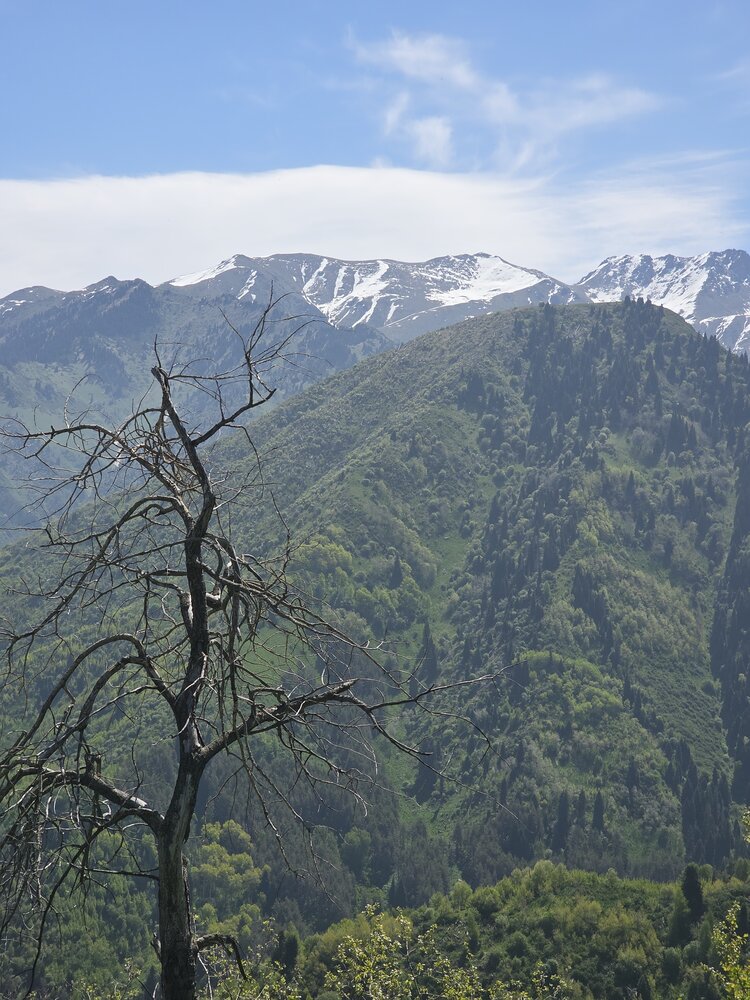 Photograph by Эльвира