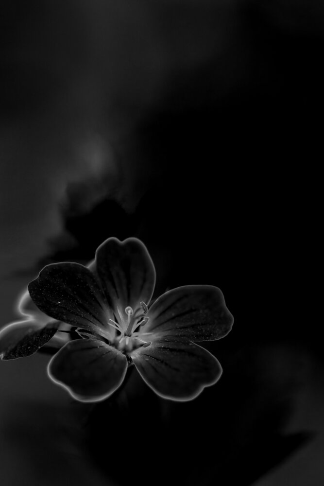 Photograph by Нериюс Стартас