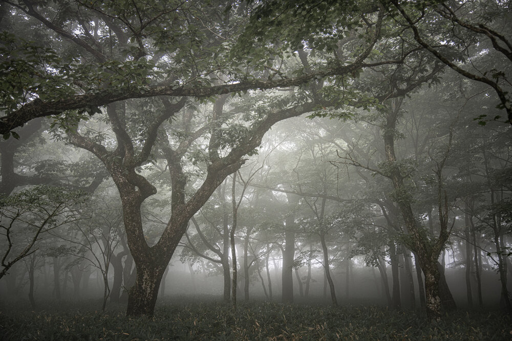 Photo #13885053