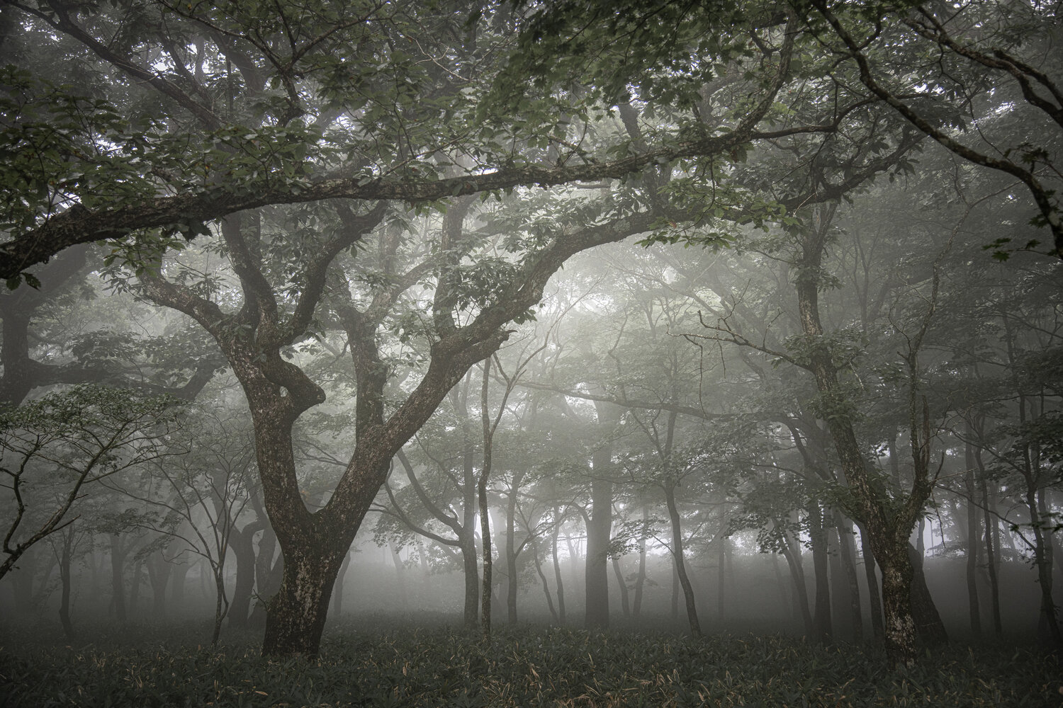 Photo #13885053