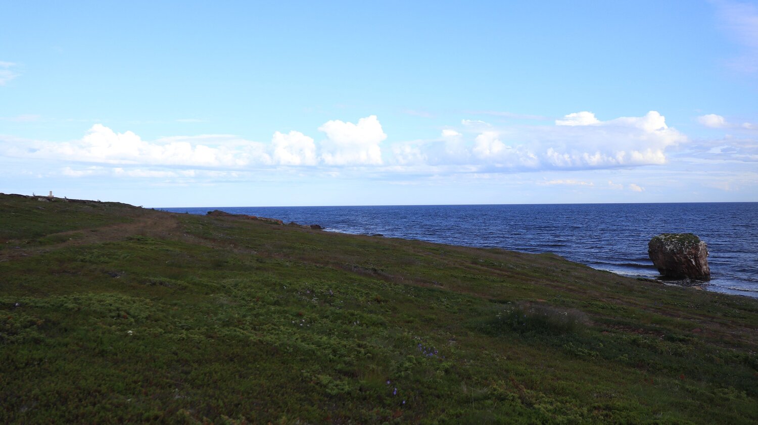 Photo #13885101