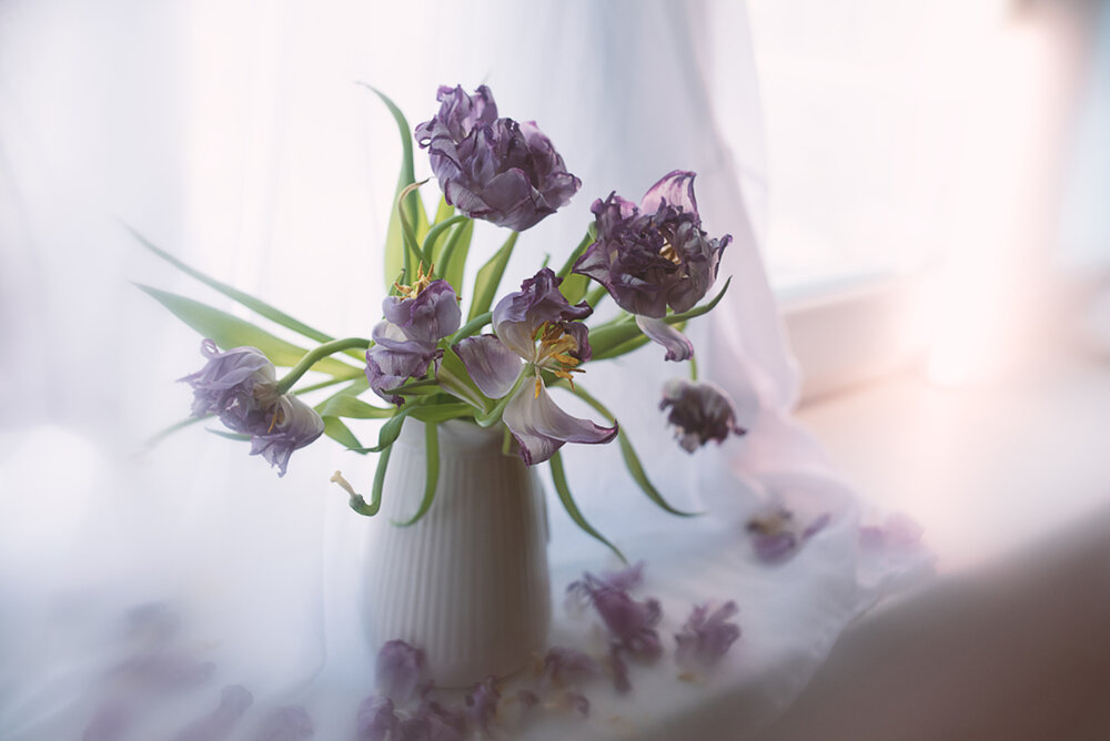 Photograph by Вика Фолина