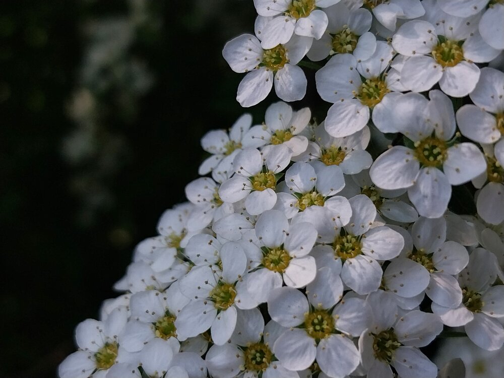 Photograph by Олеся Матвеева