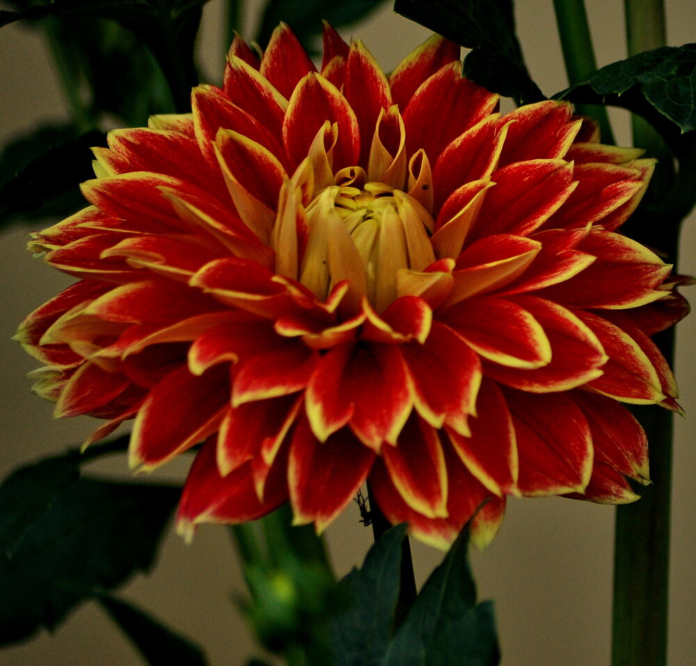 Photograph by Николай Леухин