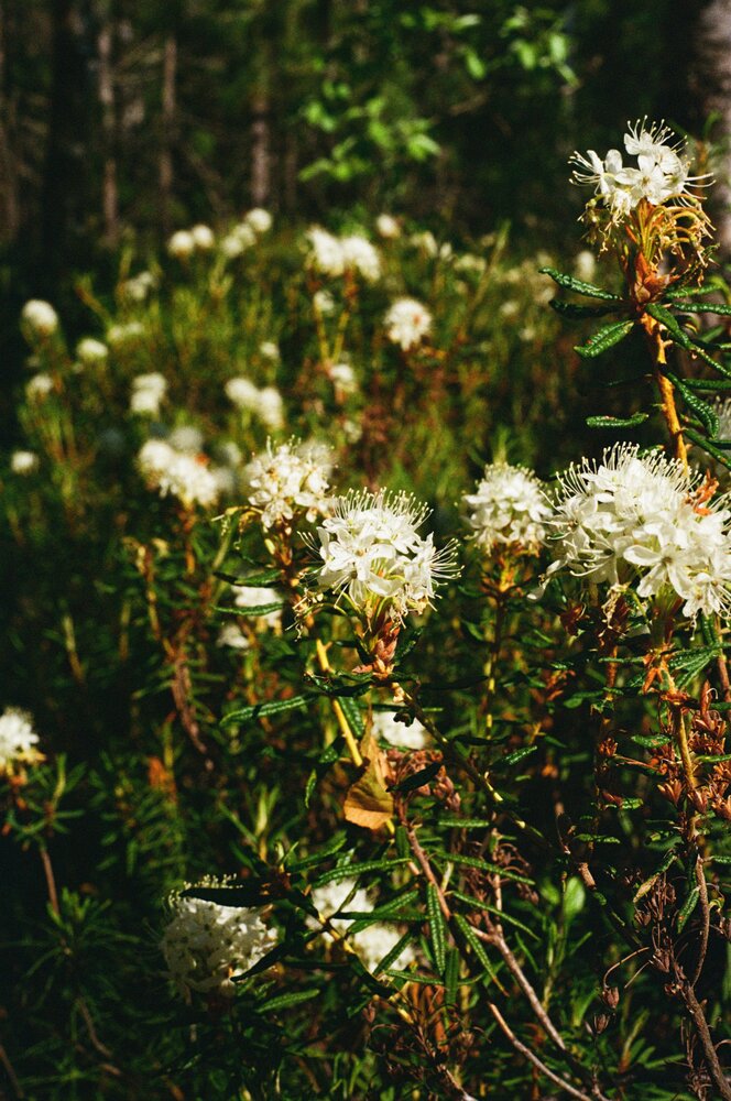 Photograph by Anastacia Anne-Marie Dieudonné