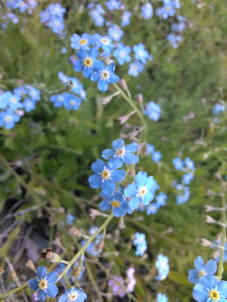 Photo #13885342