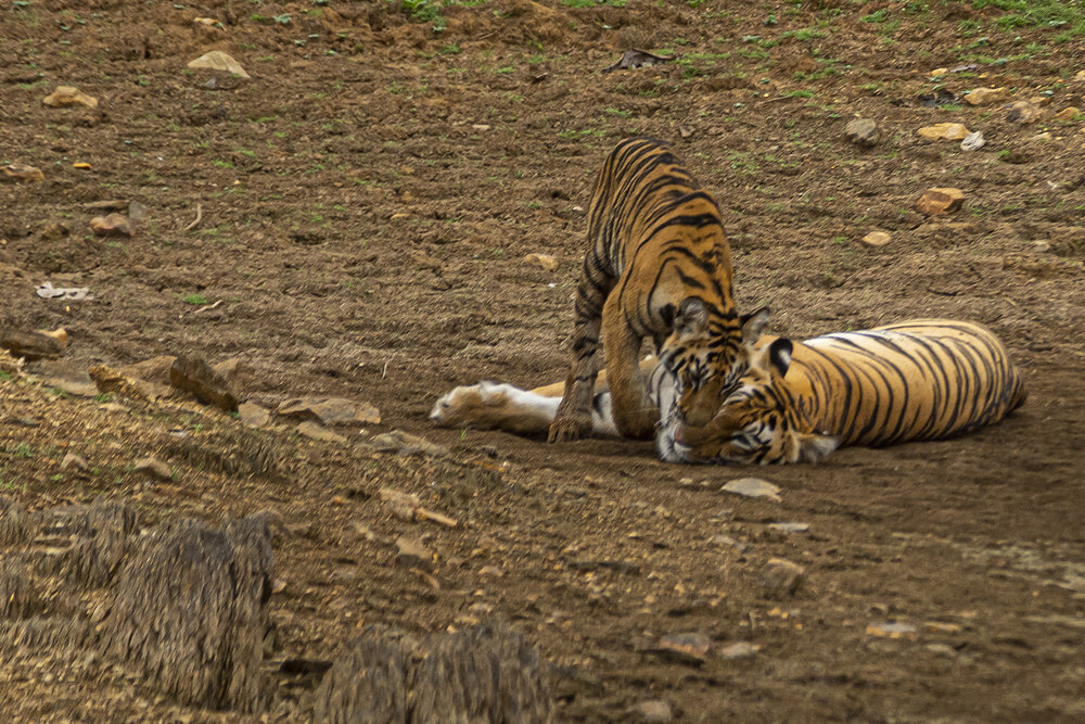 Photograph by Rajeswari Bhattacharyya