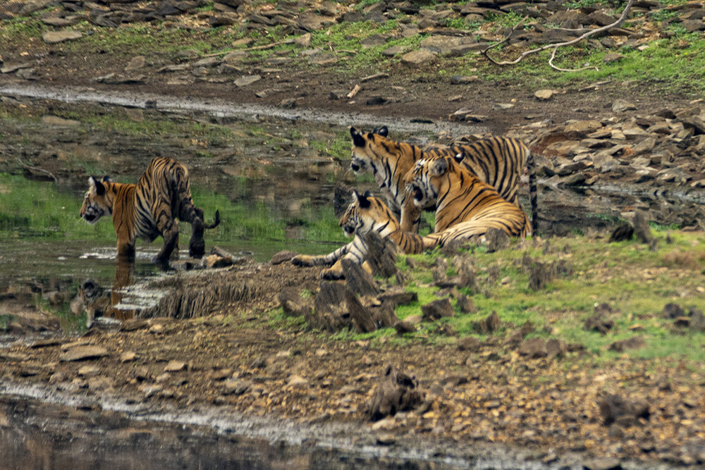 Photograph by Rajeswari Bhattacharyya