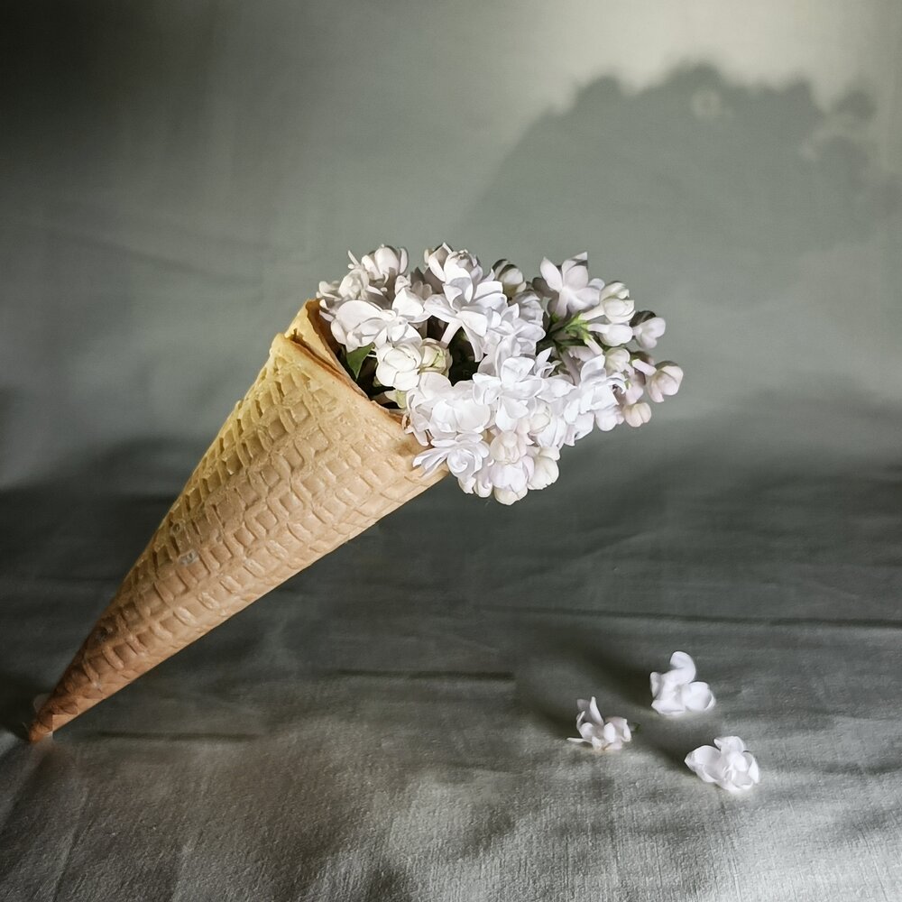 Photograph by Валентина Анюхина