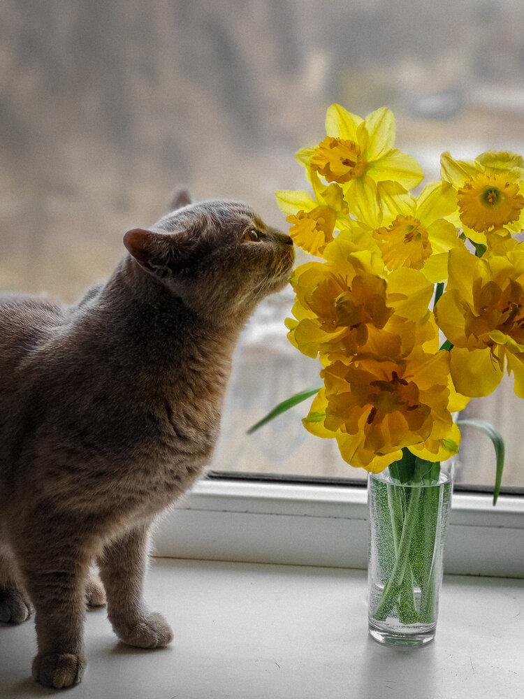 Photograph by Оксана Некрасова