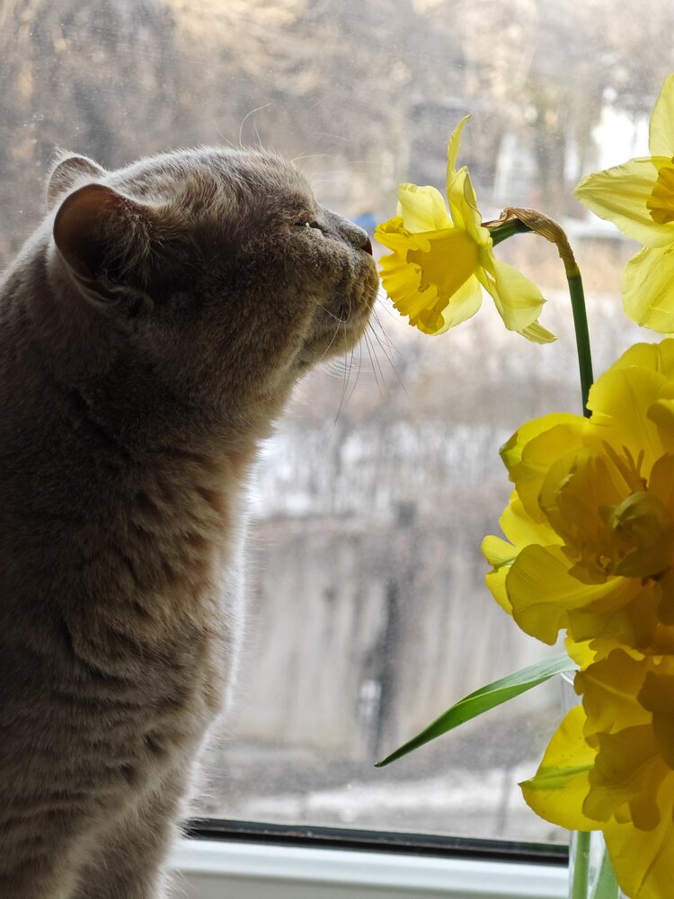 Photograph by Оксана Некрасова