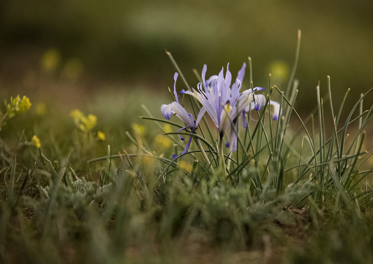 Photo #13885415