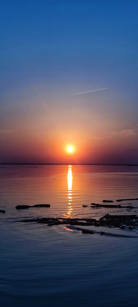 Photograph by Лариса