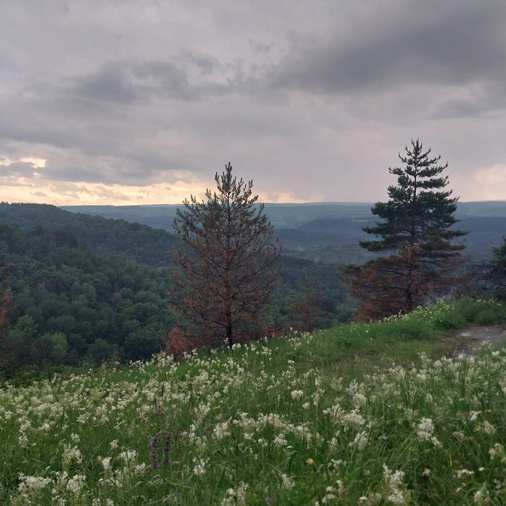 Photograph by Олеся Матвеева