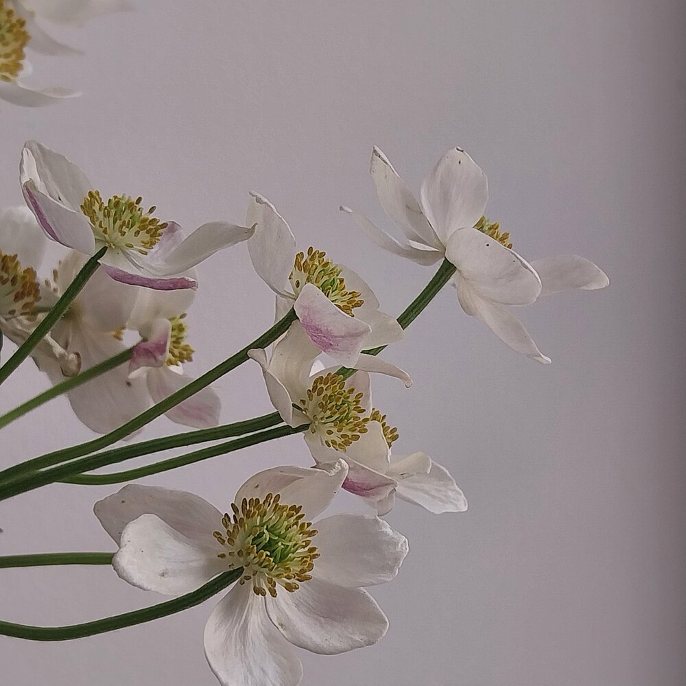 Photograph by Олеся Матвеева