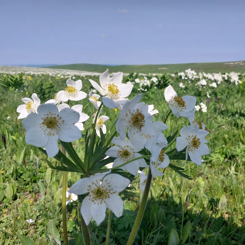Photograph by Олеся Матвеева