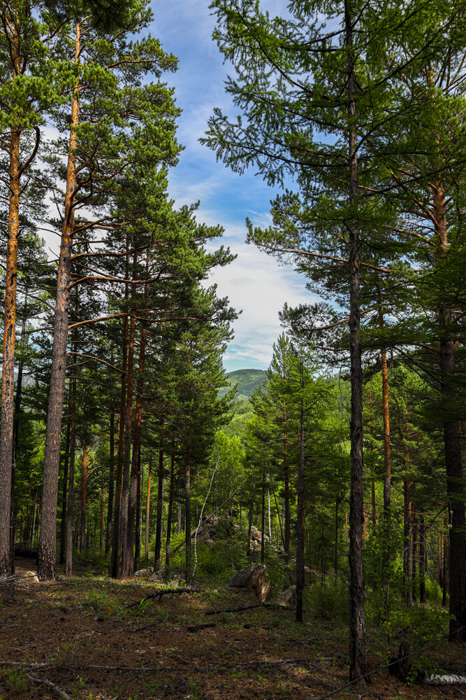 Photograph by Aleksey Maevskiy