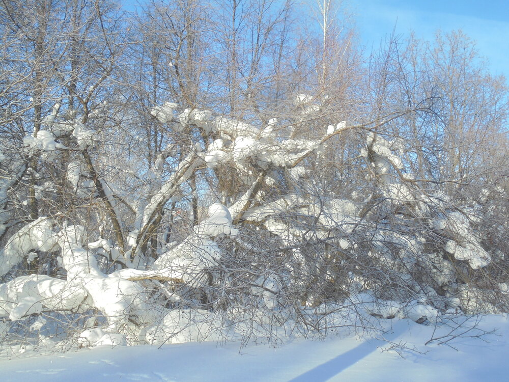 Photo #13885568