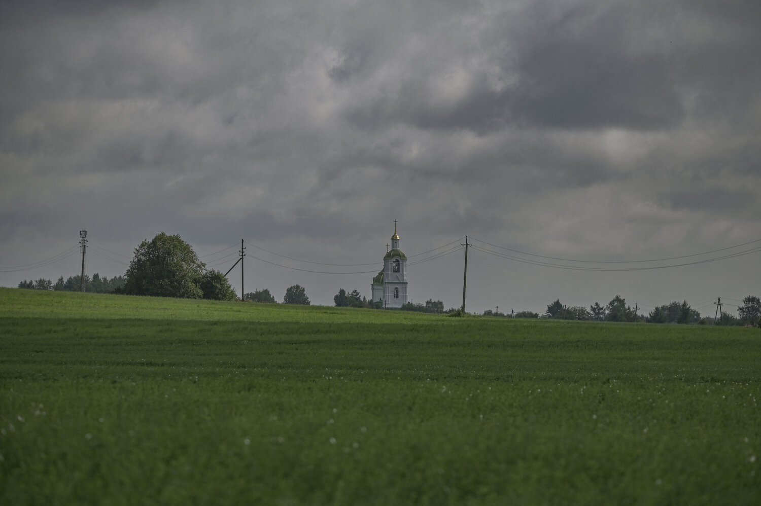 Photo #13885569