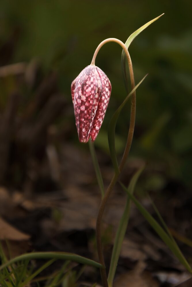 Photograph by Валентина Куренкова
