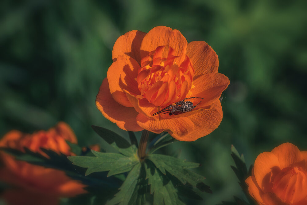 Photograph by Юдинских Марина