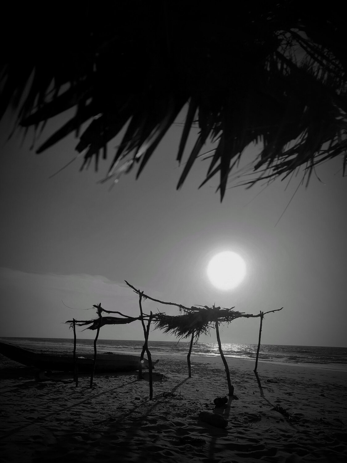 Last Refuge