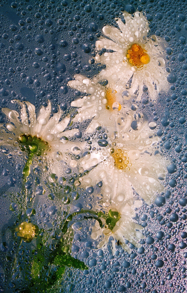 Photograph by Вячеслав Валентинович