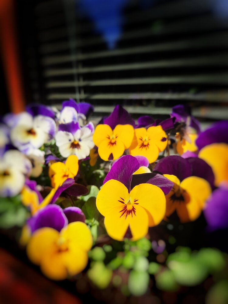Фотография автора Admin
