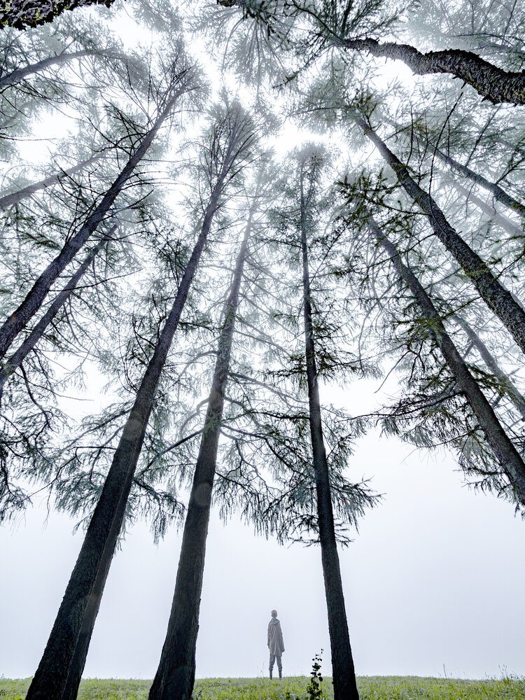 Photo #13885834
