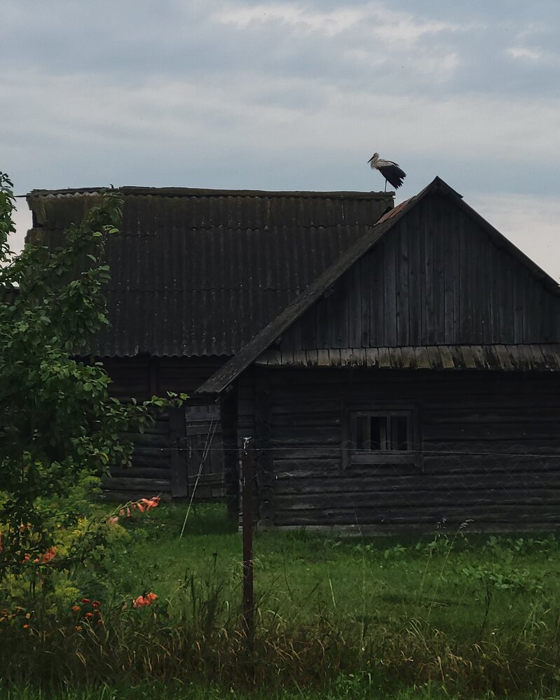 Photo #13885864