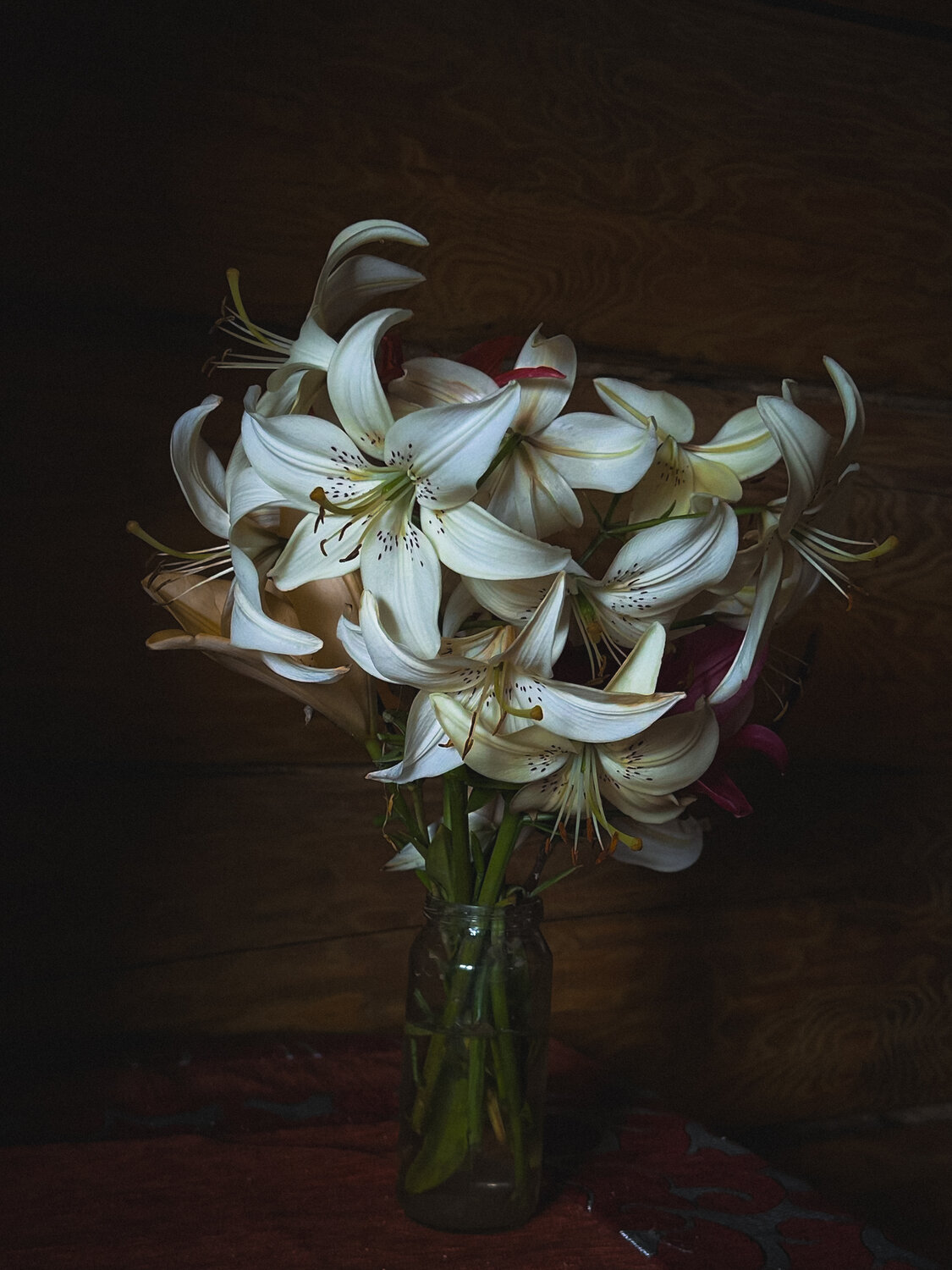 Photo #13885871