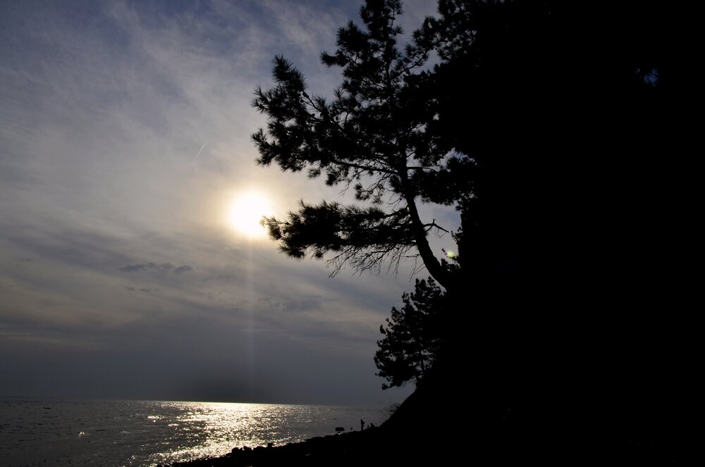 Photograph by Мила