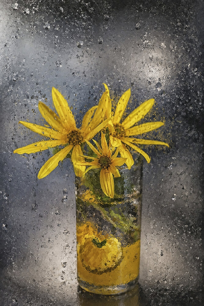 Photograph by Ольга Софронова