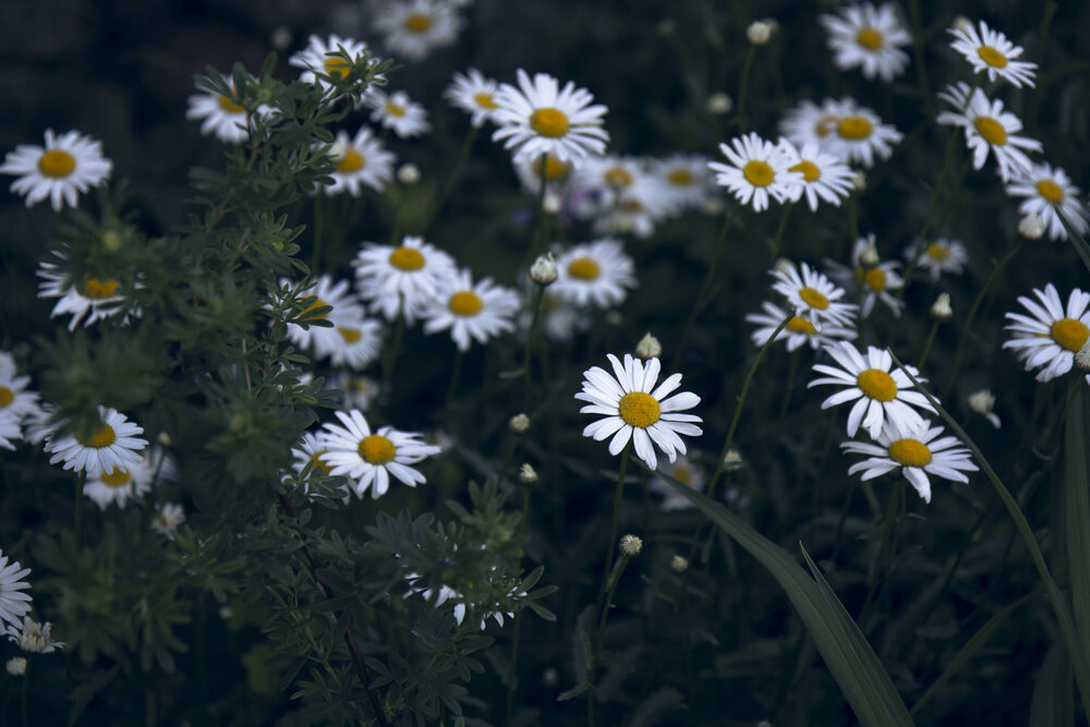 Photograph by Ульяна Нестеренко