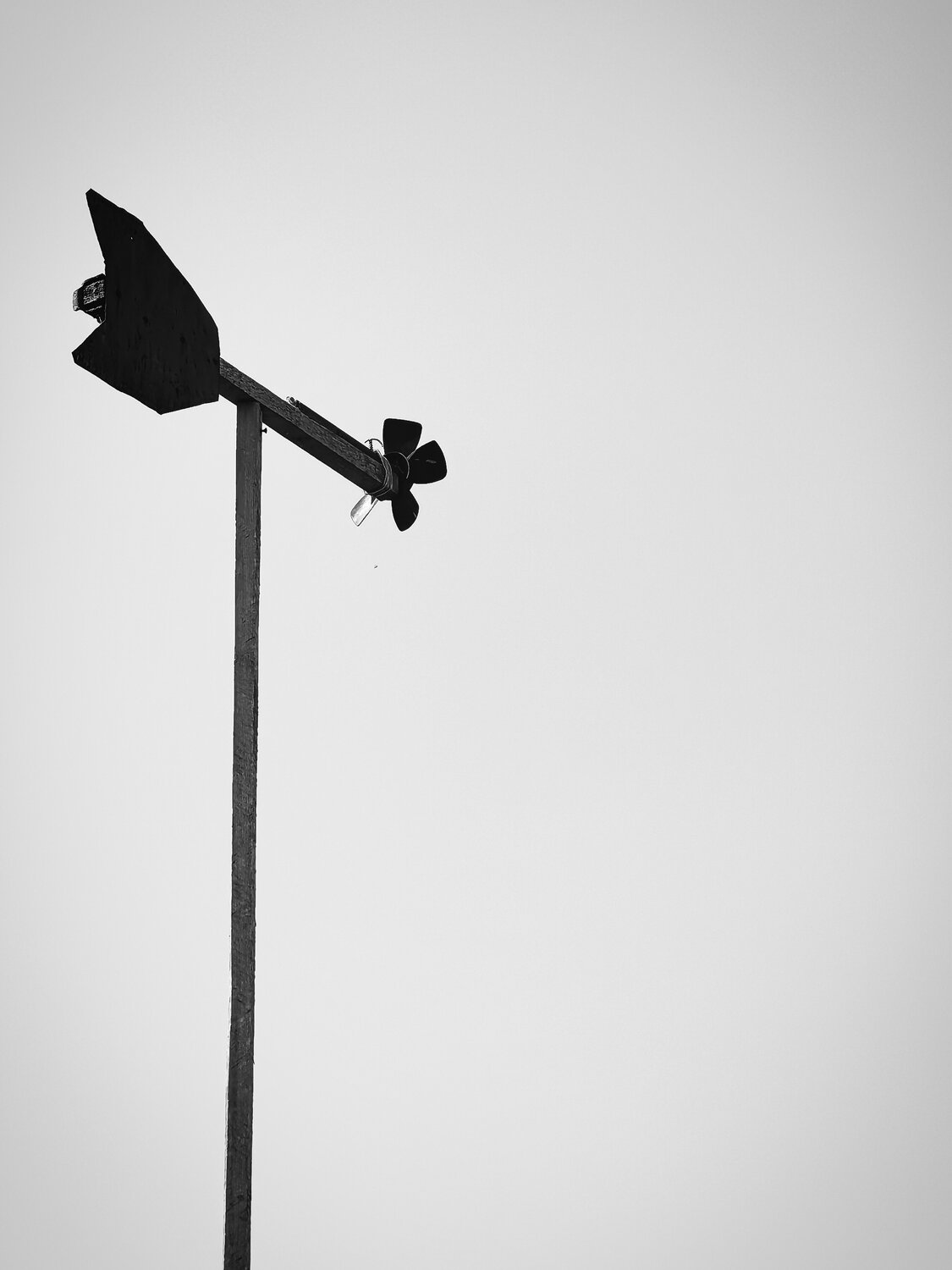 Photo #13886452