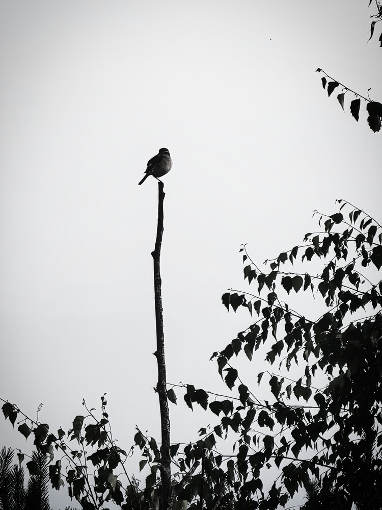 Photograph by Диана Токаревич