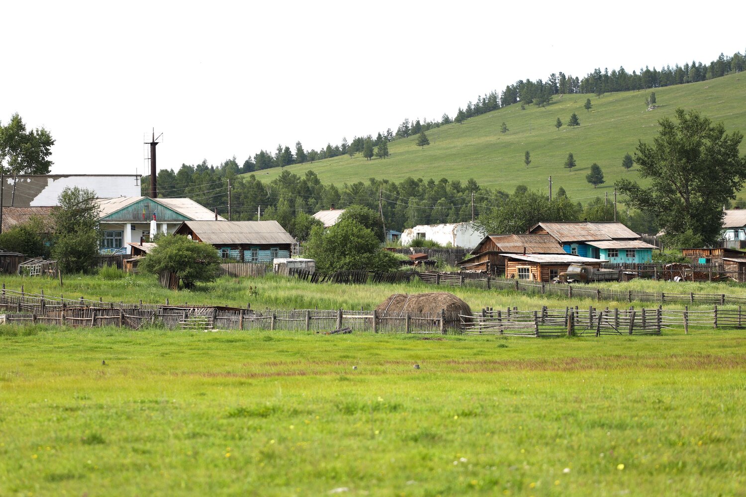 Photo #13886463