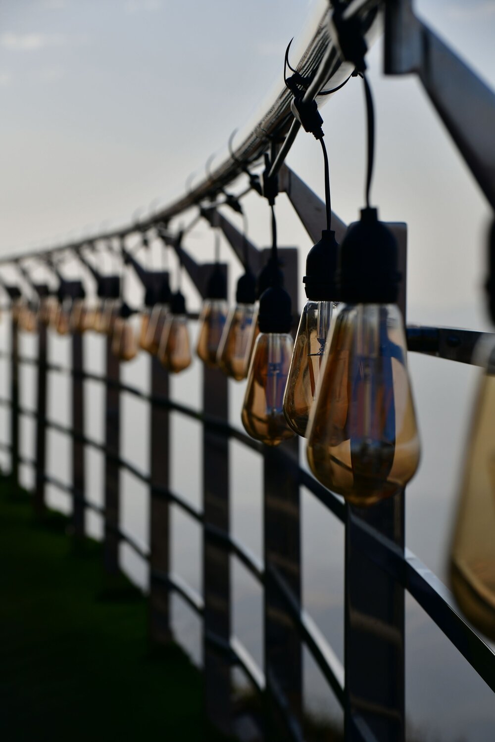 Photo #13886466