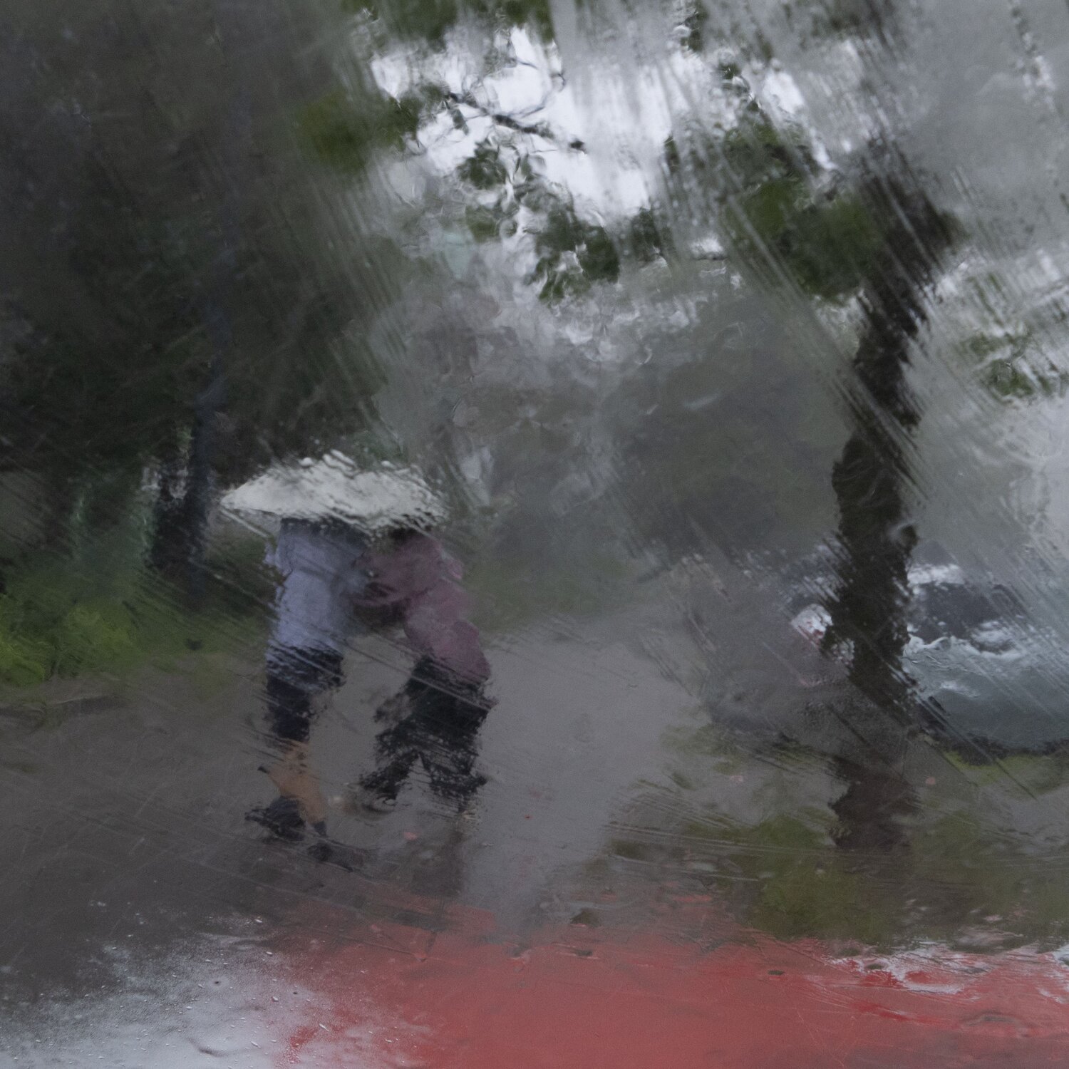 Ливень (Rainfall)