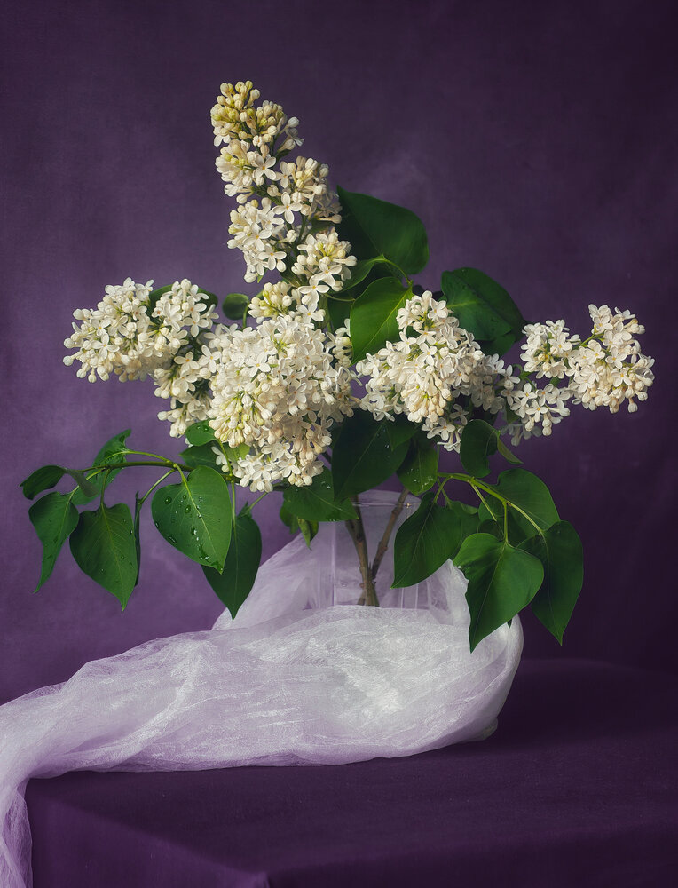 Photograph by Елена