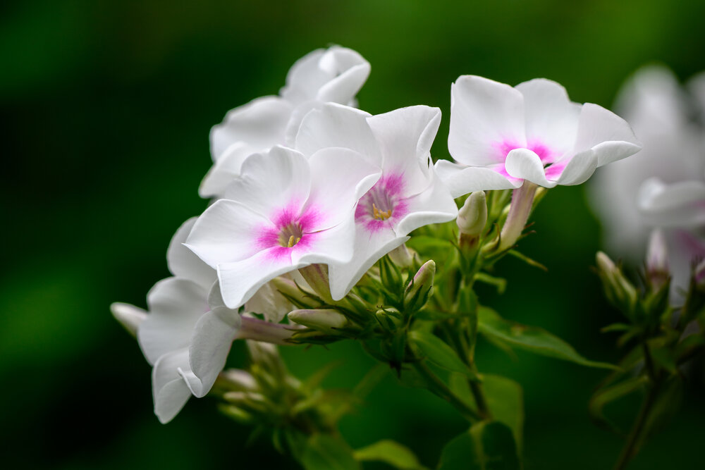 Photograph by Вячеслав Белов