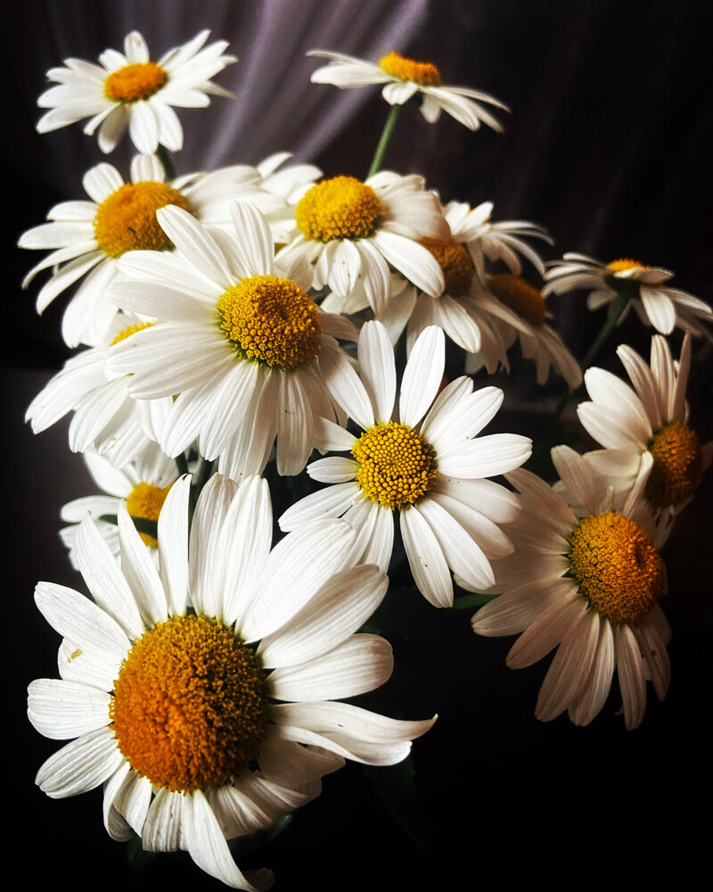 Photograph by Oksana Smorodina