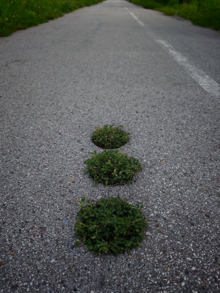 Photograph by Елена