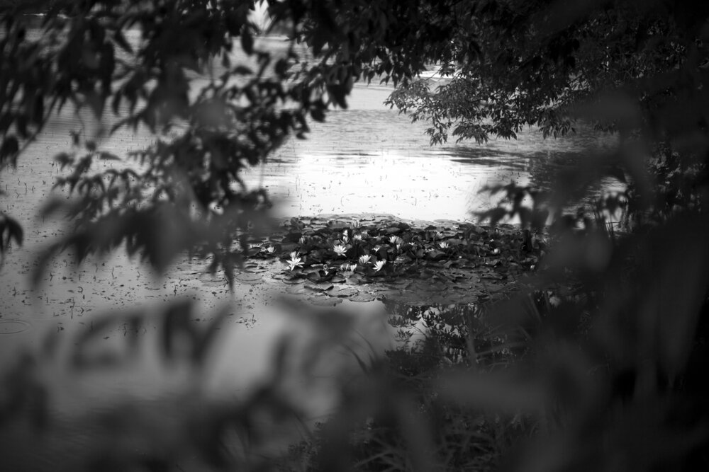 Photograph by Виталий Хавхун