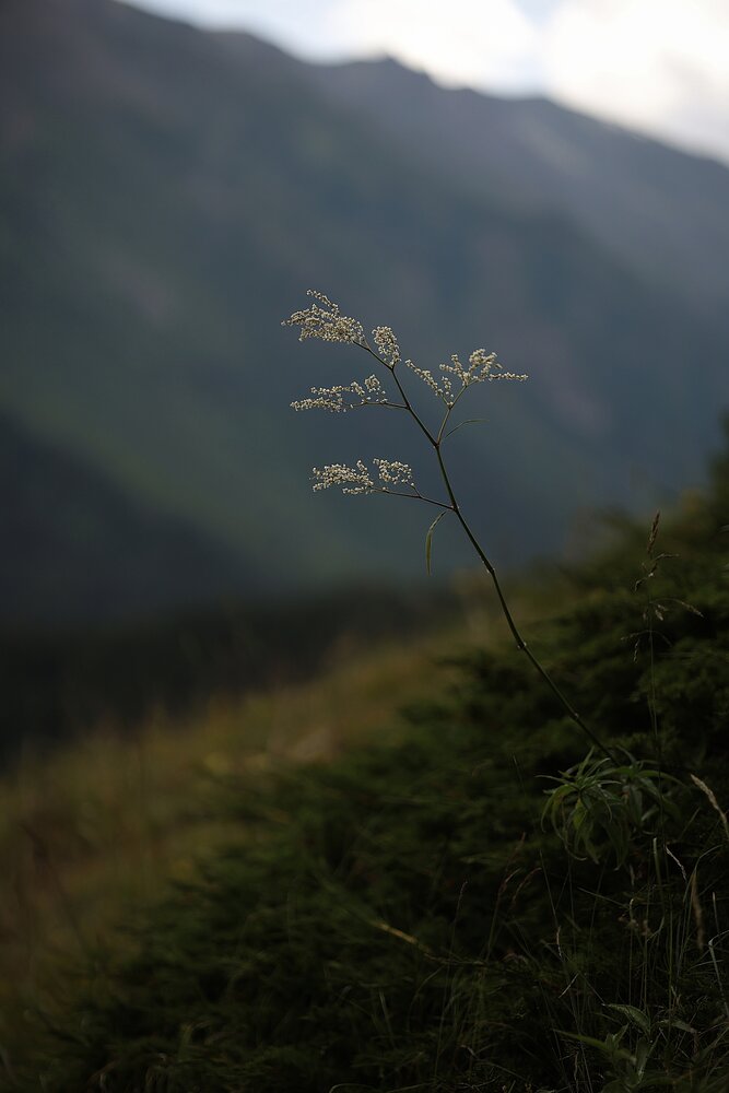 Photograph by Полина Сульженко