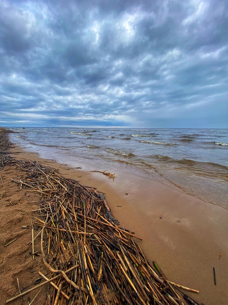 Photograph by Oksana Smorodina
