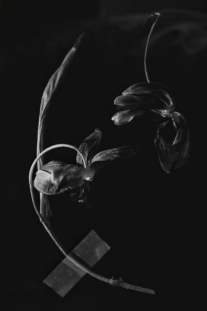 Photograph by Тамара Сахарова