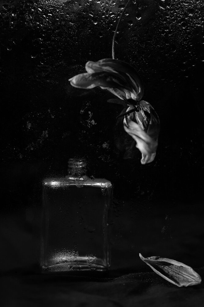 Photograph by Тамара Сахарова